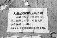 新沂珠海伴游雇用网(珠海游览社雇用信息)