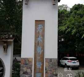 新沂关于伴游中国伴游你们伴得是什么游的信息