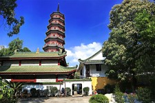 新沂广州自由行(广州 自由行)