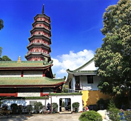 新沂广州自由行(广州 自由行)