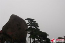 新沂上海伴游私家陪游雇用女模(上海伴游私家陪游雇用女模特)