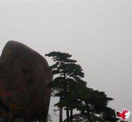 新沂上海伴游私家陪游雇用女模(上海伴游私家陪游雇用女模特)