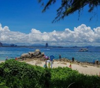 新沂自由行(自由行和跟团游哪个好)