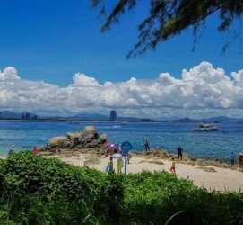 新沂自由行(自由行和跟团游哪个好)