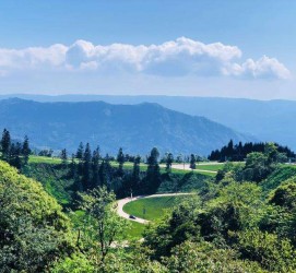 新沂跟随伴游网体验中国首个养生胜地(成都早餐培训是真的吗)