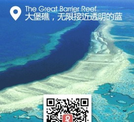 新沂中国250家旅行社结伴游新西兰(新西兰当地旅行社)