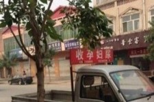 新沂上海伴游 用伴游造句大全(5