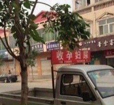 新沂上海伴游 用伴游造句大全(5