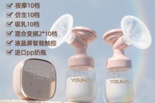 新沂奶模(奶模型)