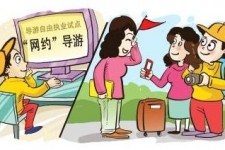 新沂伴游是什么