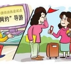 新沂伴游是什么