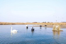 新沂南昌附近伴游小妹兼职(1534939978姐的微信德惠市)