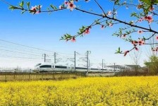 新沂高铁游(高铁游戏下载手机版)