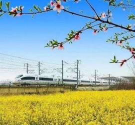新沂高铁游(高铁游戏下载手机版)