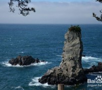 新沂旅游全攻略(上海旅游全攻略)