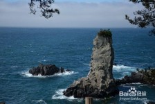 新沂旅游全攻略(上海旅游全攻略)