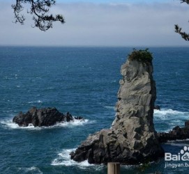 新沂旅游全攻略(上海旅游全攻略)