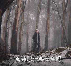 新沂上海私人伴游 上海伴游，上海兼职伴游安全吗