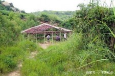 新沂北海伴游兼职雇用信息(北海伴游兼职雇用信息大全)