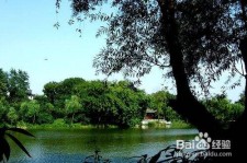 新沂西湖旅游攻略(上海到杭州西湖旅游攻略)