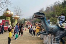 新沂中国伴游带你打卡网红南山竹海(南山竹海网上预约)