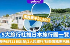 新沂旅游价格(旅游价格机制)