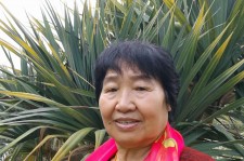 新沂白叟带老伴游半个中国(白叟外出旅游)