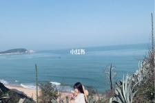 新沂厦门周边游(厦门及周边旅游攻略)