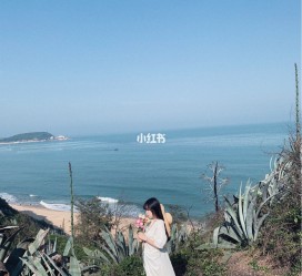 新沂厦门周边游(厦门及周边旅游攻略)