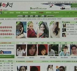 新沂home伴游中国(zarahome乳胶枕)