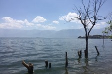新沂洱海旅游攻略(洱海旅游攻略自由行)