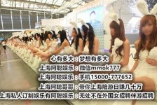 新沂雇用旅游男伴游(北京商务酒店雇用伴游)