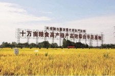 新沂关于成都商务伴游外围雇用的信息