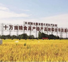 新沂关于成都商务伴游外围雇用的信息