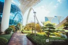 新沂杭州外围伴游雇用(杭州外围雇用经纪人)