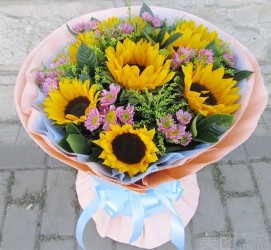 新沂美团向日葵兼职模特(美团向日葵百度百科)