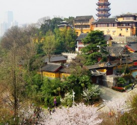 新沂南京周边游(南京周边游景点大全 自驾车旅游)