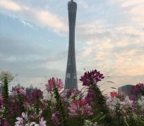 新沂广州旅游攻略(杭州到广州旅游攻略)
