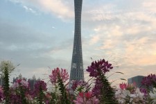新沂广州旅游攻略(杭州到广州旅游攻略)