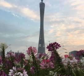 新沂广州旅游攻略(杭州到广州旅游攻略)