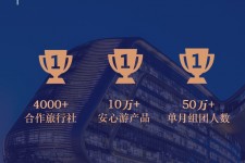 新沂上海私人伴游 ​ “小而美”的新时代：2020年国内新跟团消费报告