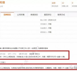 新沂广州伴游雇用平台(广州私家助理伴游雇用)