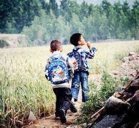 新沂河南一家四口结伴游中国2个月(河南适合一家四口旅游的地方)
