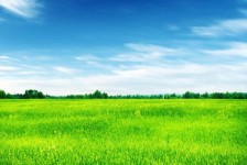 新沂上海伴游 上海模特伴游微信号的交友宣言