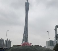 新沂广州游玩攻略(广州游玩攻略景点大全免费)