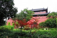 新沂南京旅游攻略(南京旅游攻略自由行攻略)