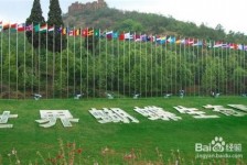 新沂昆明旅游攻略(昆明旅游攻略景点大全抚仙湖)