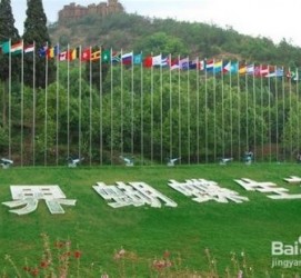 新沂昆明旅游攻略(昆明旅游攻略景点大全抚仙湖)