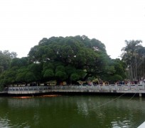新沂福州旅游攻略(福州旅游攻略二日游)