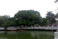 新沂福州旅游攻略(福州旅游攻略二日游)